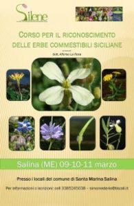 Salina: dal 9 al 11 marzo il corso per il riconoscimento delle erbe commestibili siciliane